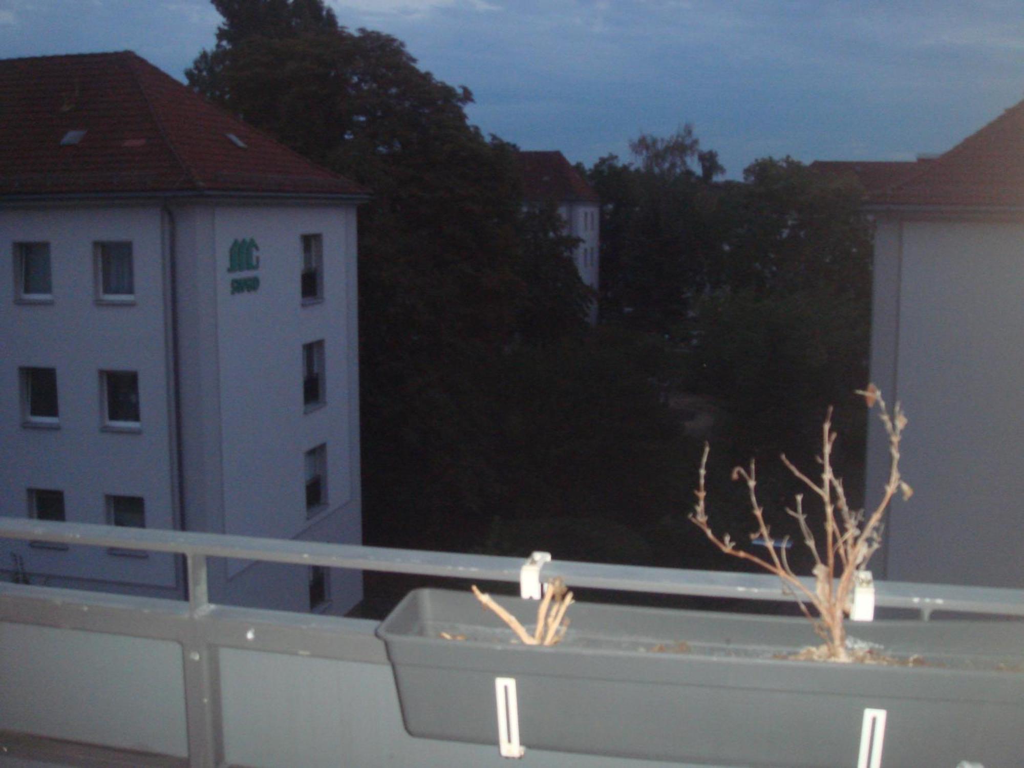Private Apart. Near Elbe *