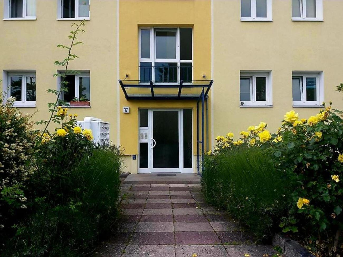 Appartement Helles Mit Balkon Am Grossen Garten Nahe Stadtzentrum Dresden