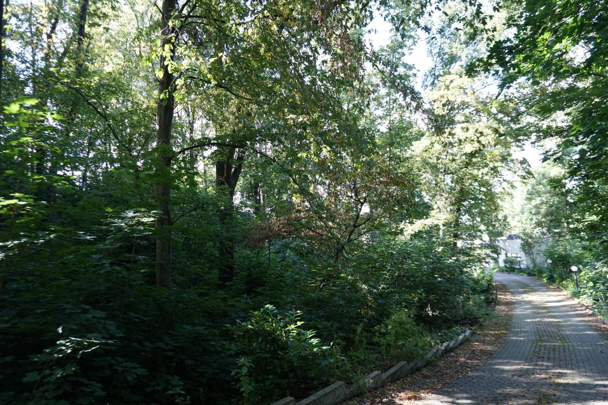 Via Lapis - Panoramablick Ueber - Garten - Pool - Sauna - Luxus