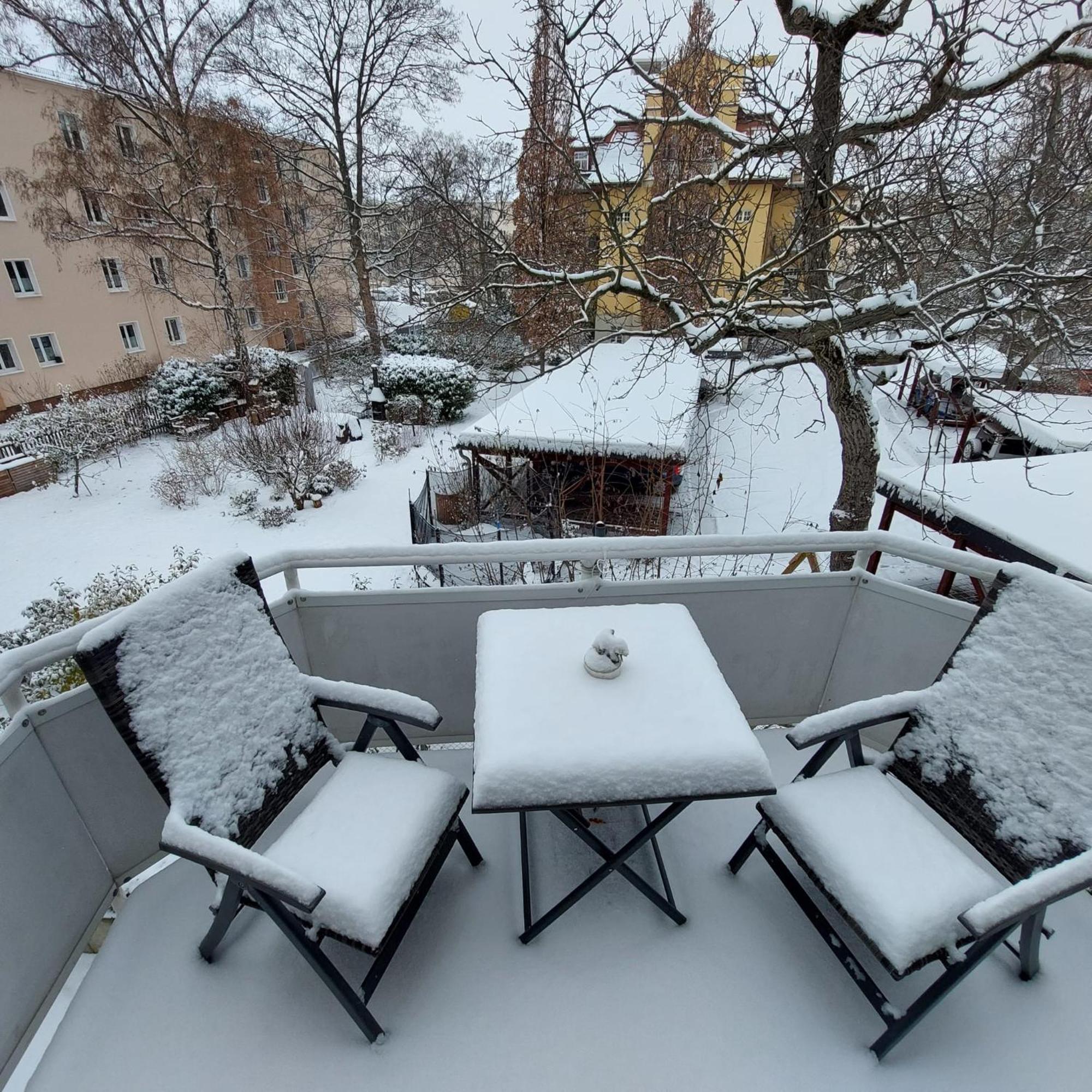 Apartment Großer Garten Dresden