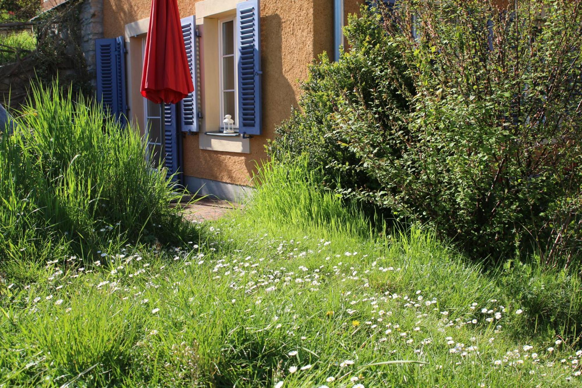 Spa-resort Landlust In 3* Dresden