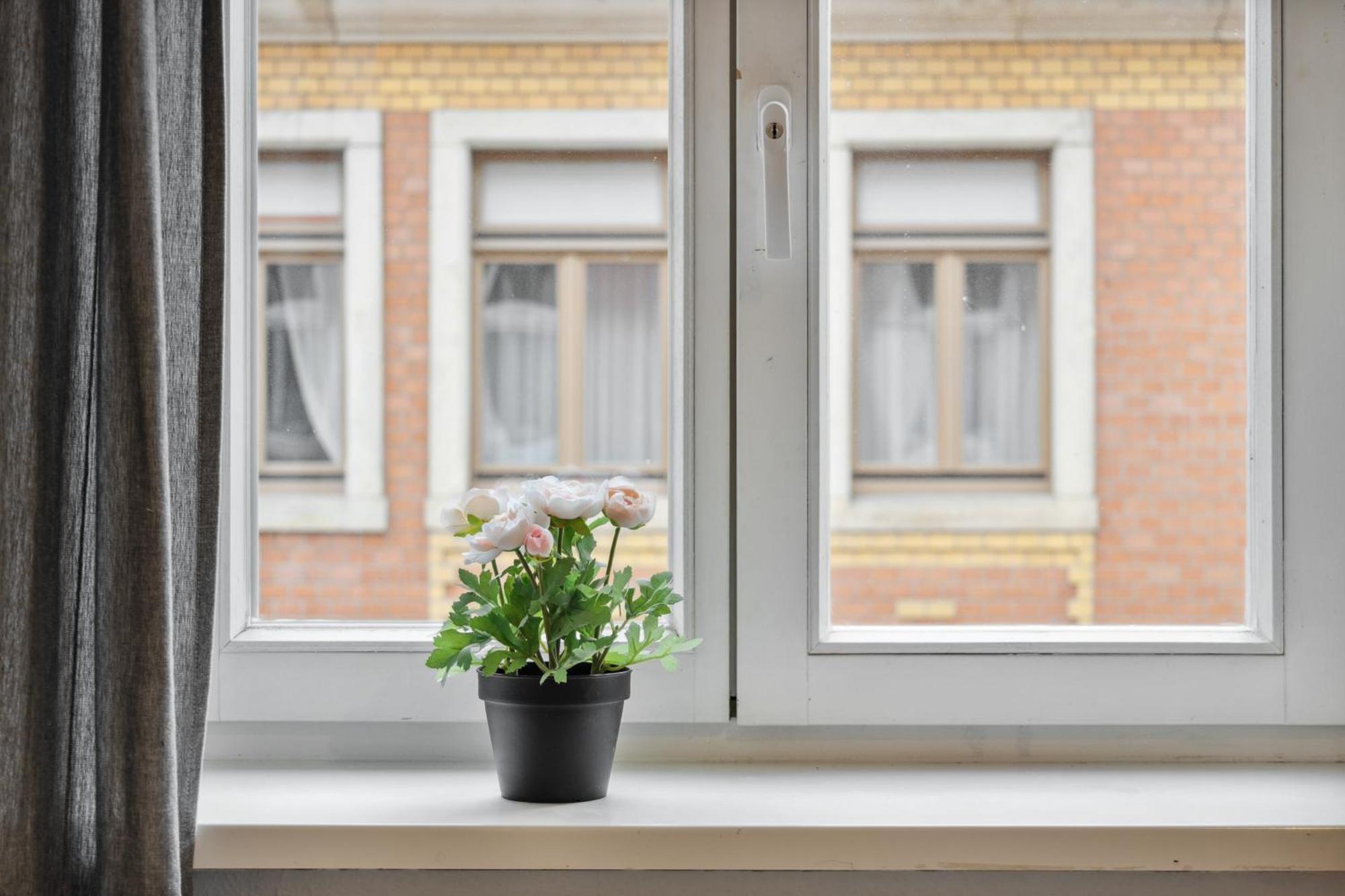 Home2stay Apartmenthaus * Dresden