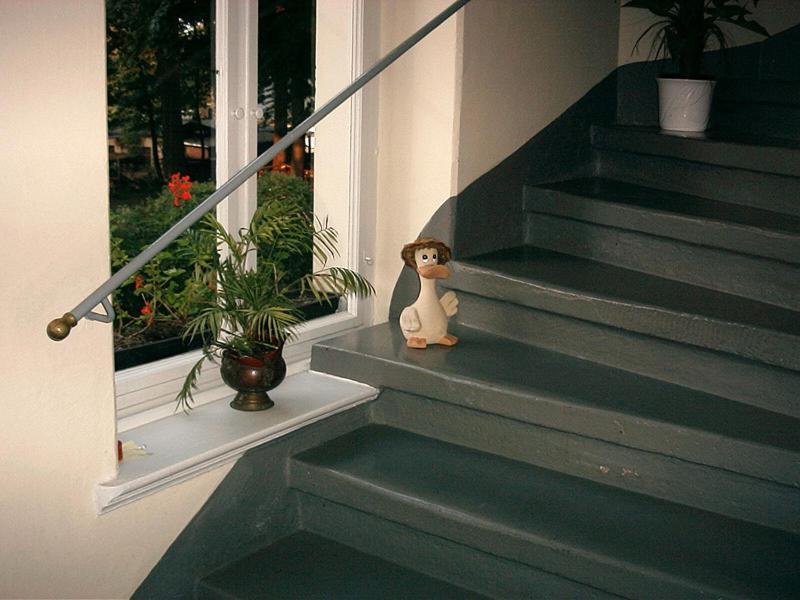 Guest house Hotel-pension Koenigswald Dresden