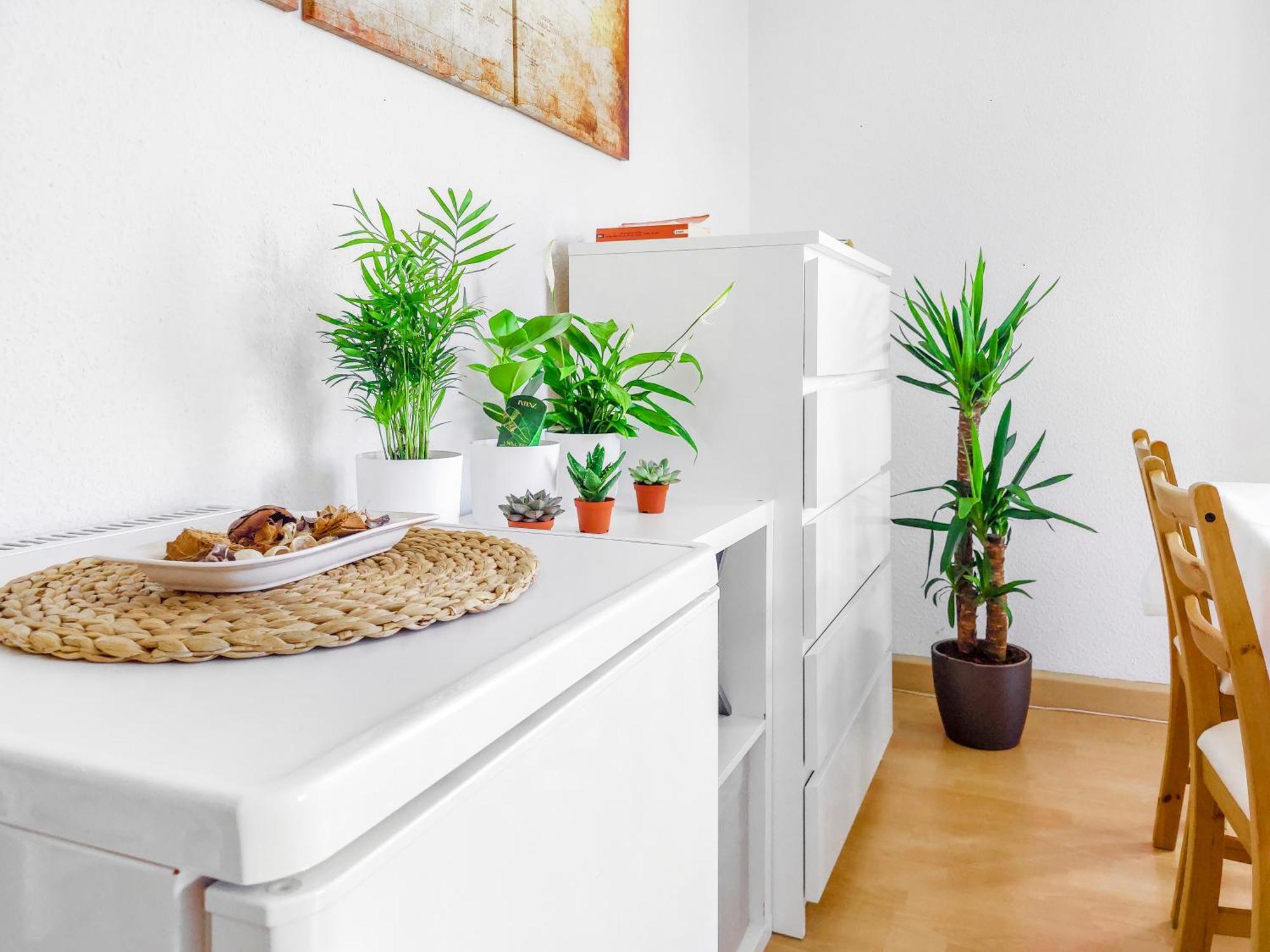 Bis 6 Personen - Helle, Ruhige Whg, 2 Baeder, Dd Neustadt, Lage * Dresden