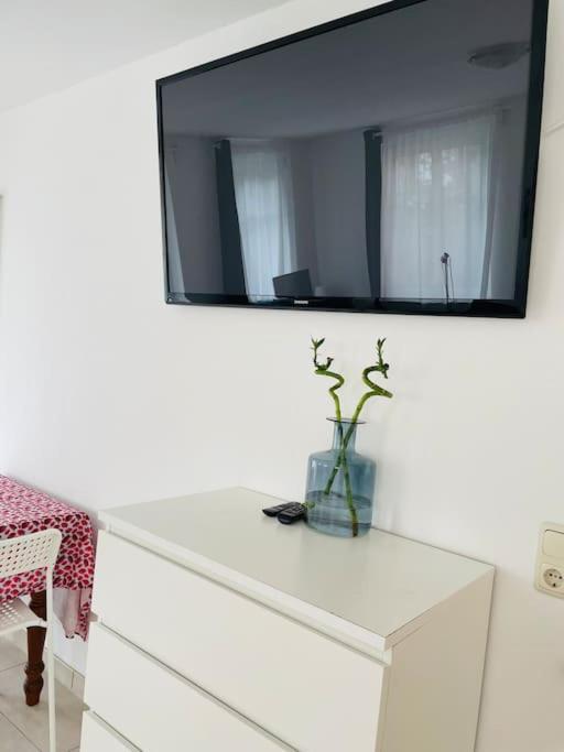 Studio-apartment Mit Balkon Apartment Dresden