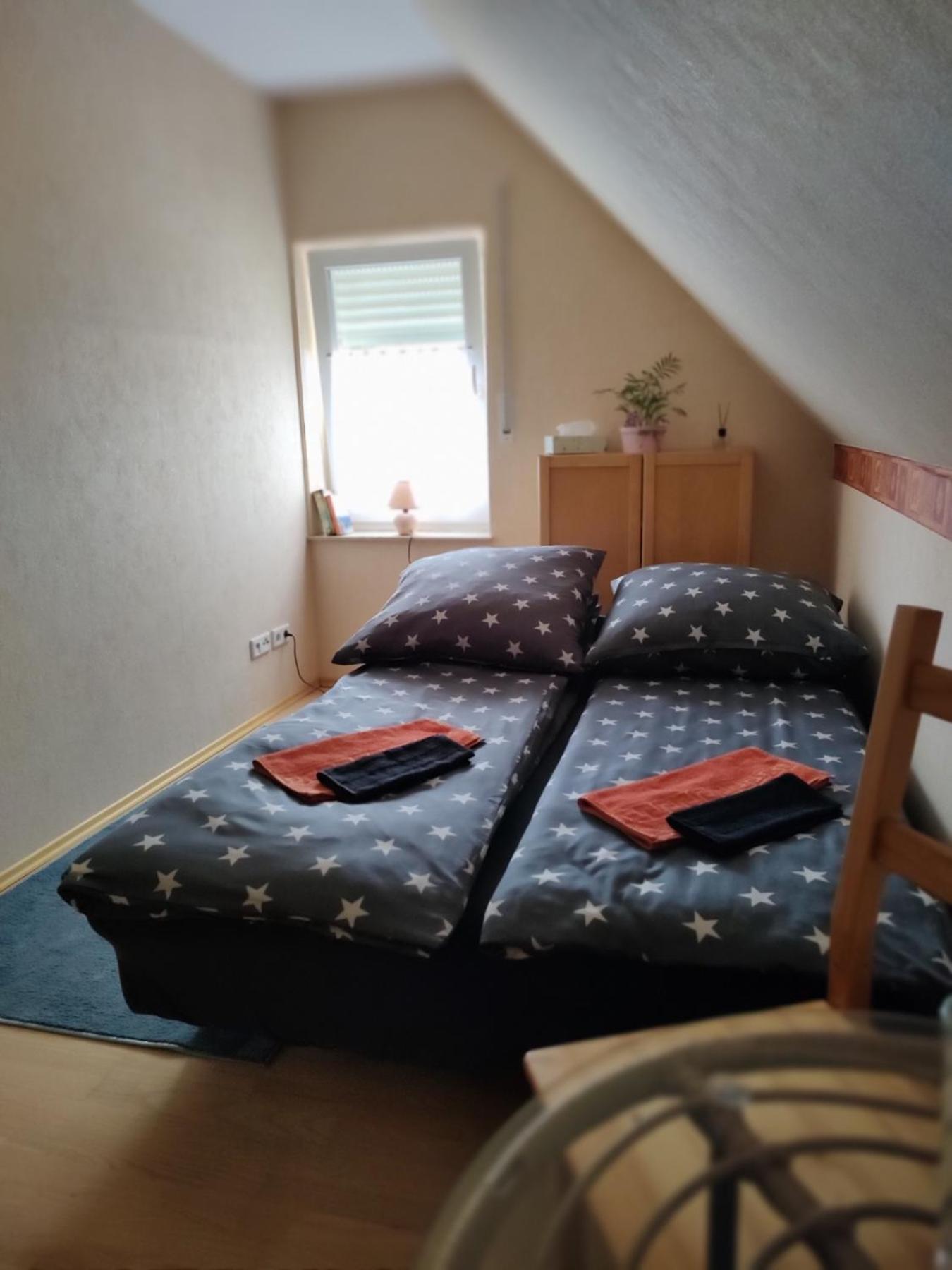 Homestay Dresden-entspannung-natur-trifft-2-staedte-am-fluss *