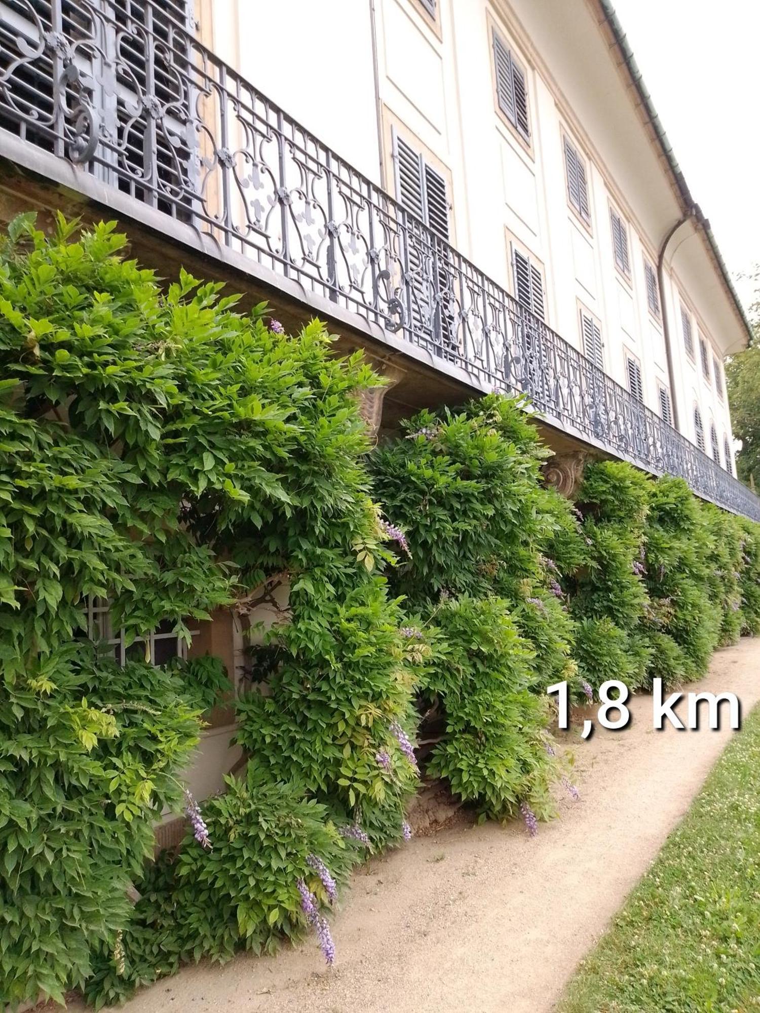 Homestay Dresden-entspannung-natur-trifft-2-staedte-am-fluss