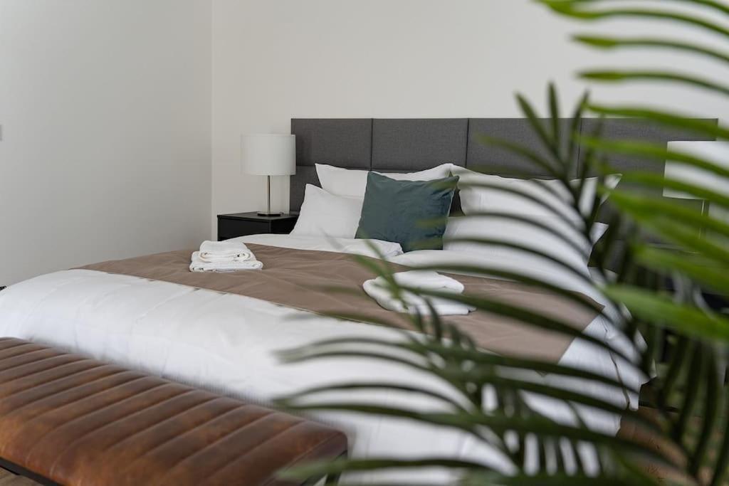 Neues 2 Schlafzimmer Mit Rooftopterrace * Dresden