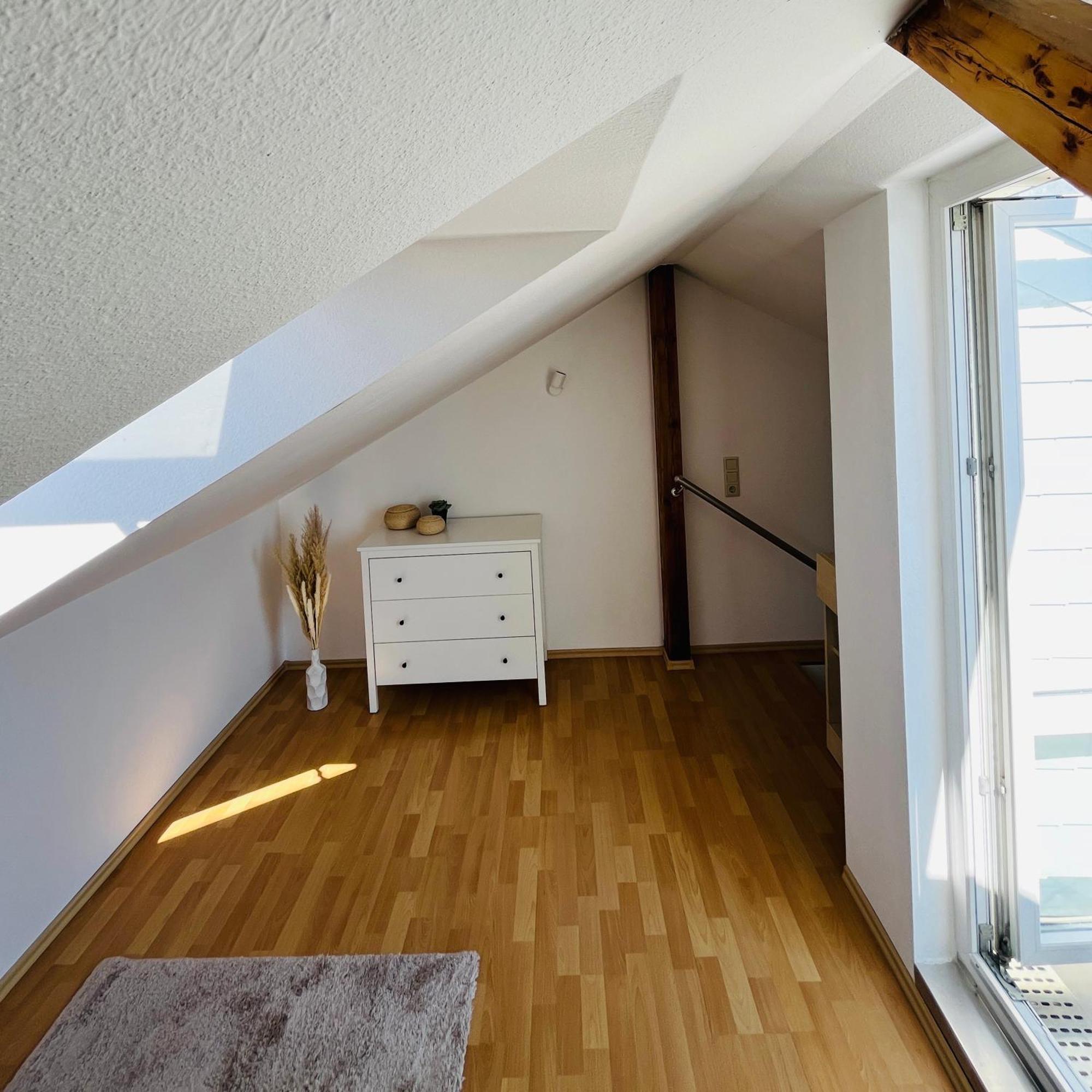 Modernes Cityapartment Naehe Schloss Pillnitz Apartment Dresden