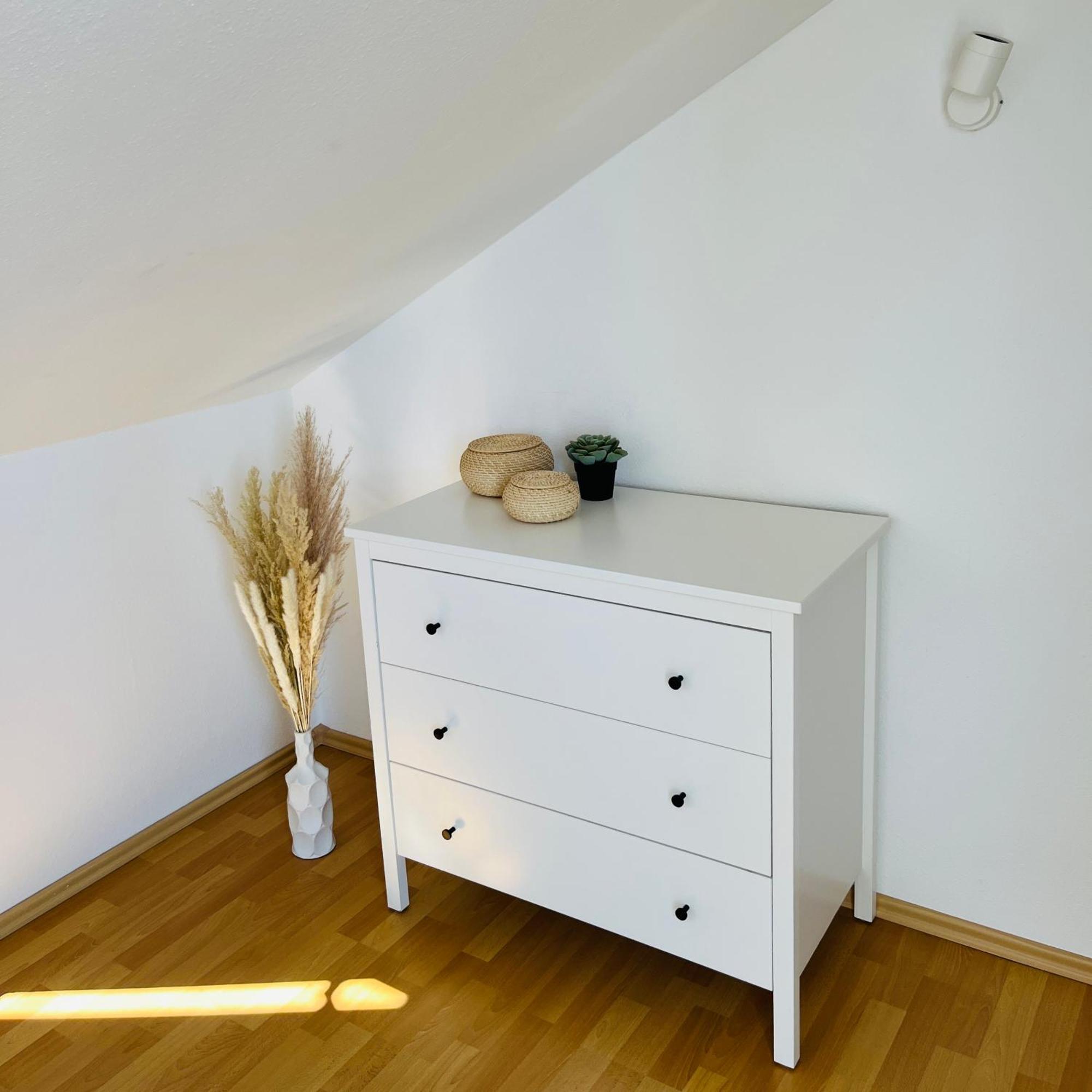 Modernes Cityapartment Naehe Schloss Pillnitz Dresden