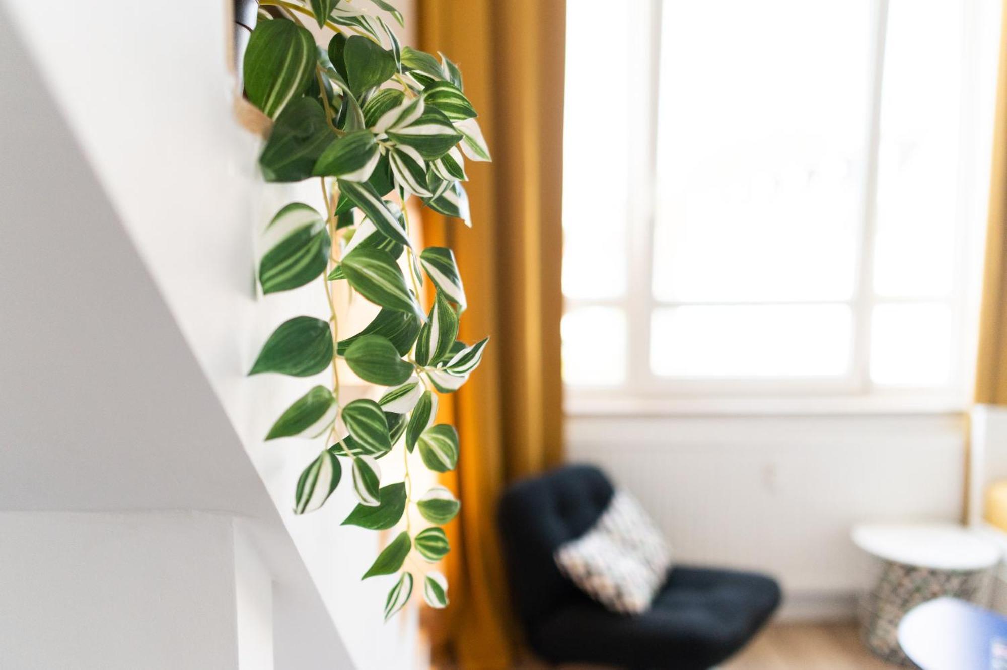 D52 - Businessapartment *