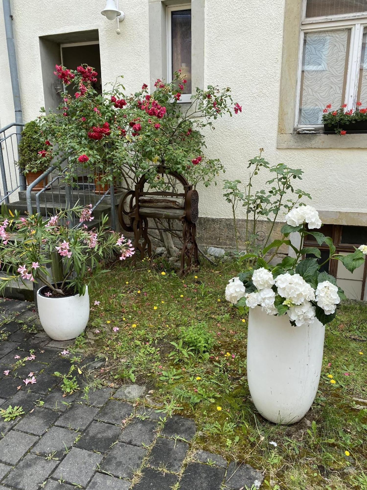 Appartement Und Gaestehaus Matthias Dresden