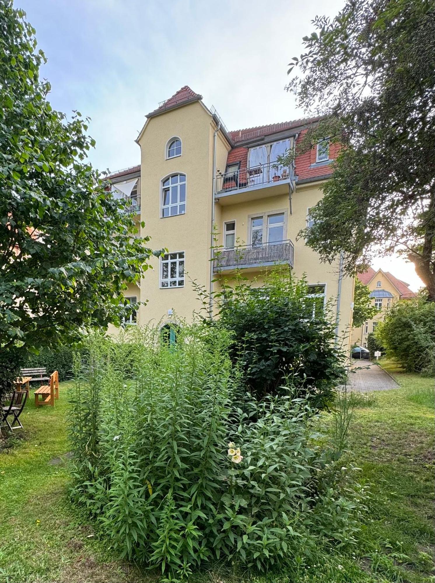 Citywohnung Dresden