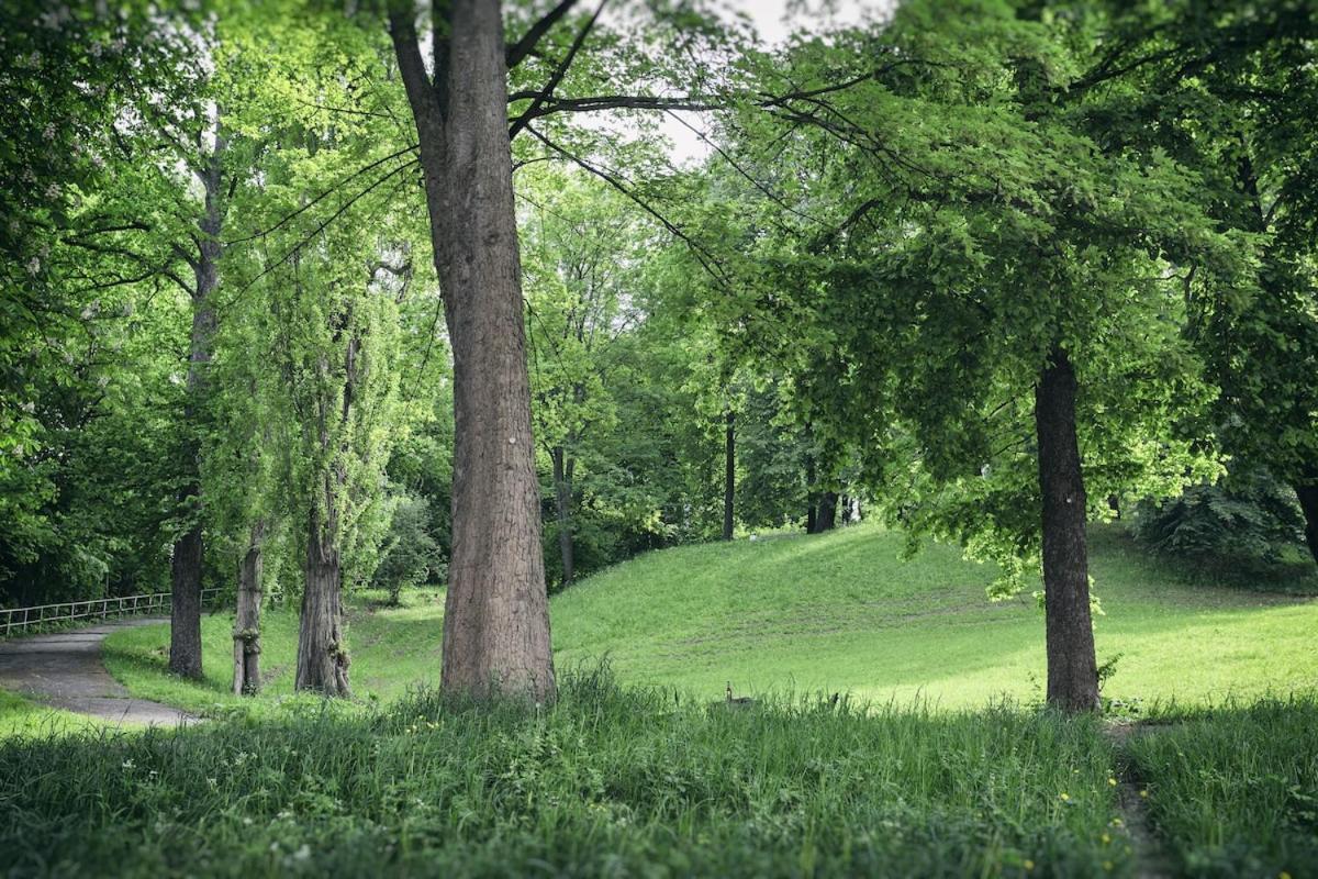 Am Bienertpark