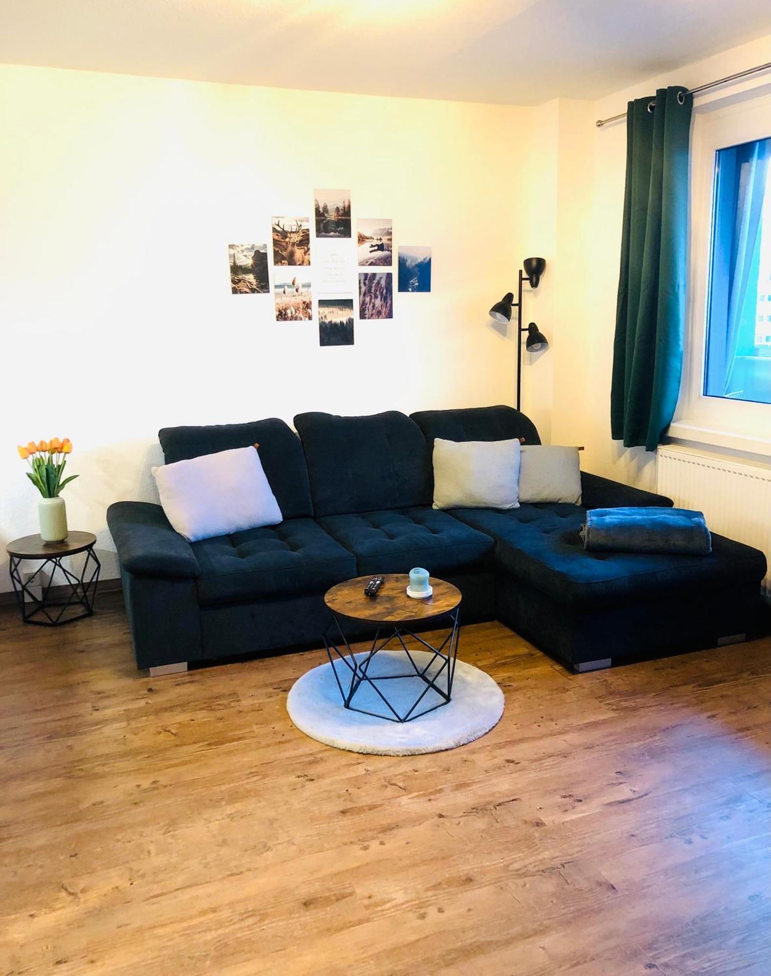 Comfortable Apartment Dresden