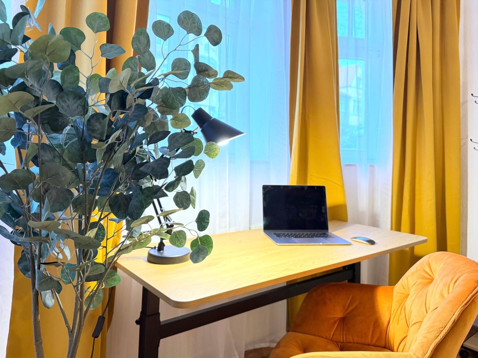 Apartment Citywohnung Dresden