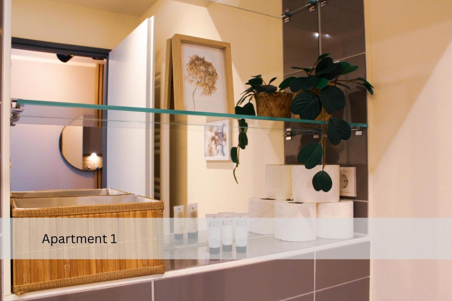 Modernes Apartment/zentrum/wi-fi/parkplatz Apartment *