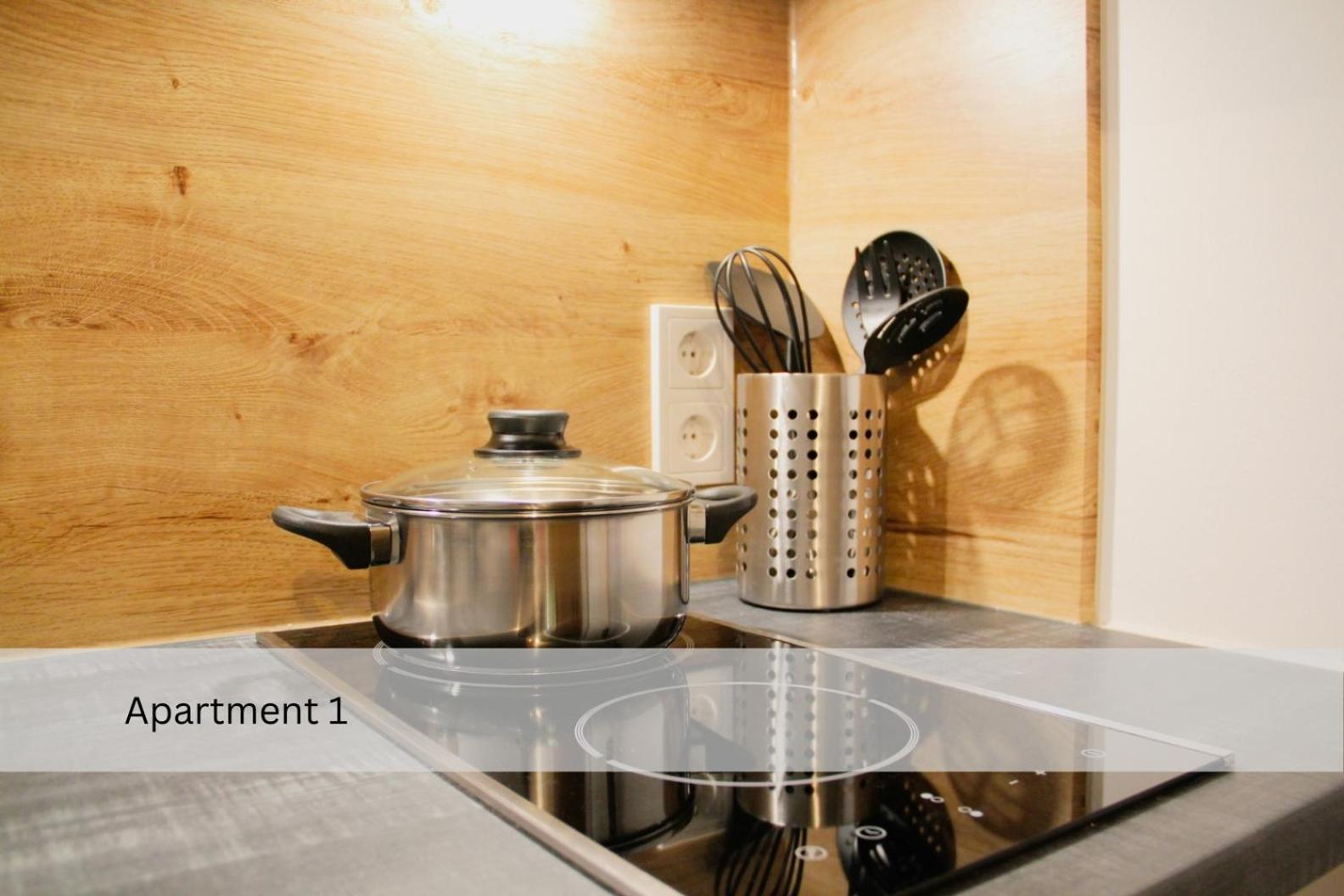 Modernes Apartment/zentrum/wi-fi/parkplatz Apartment Dresden