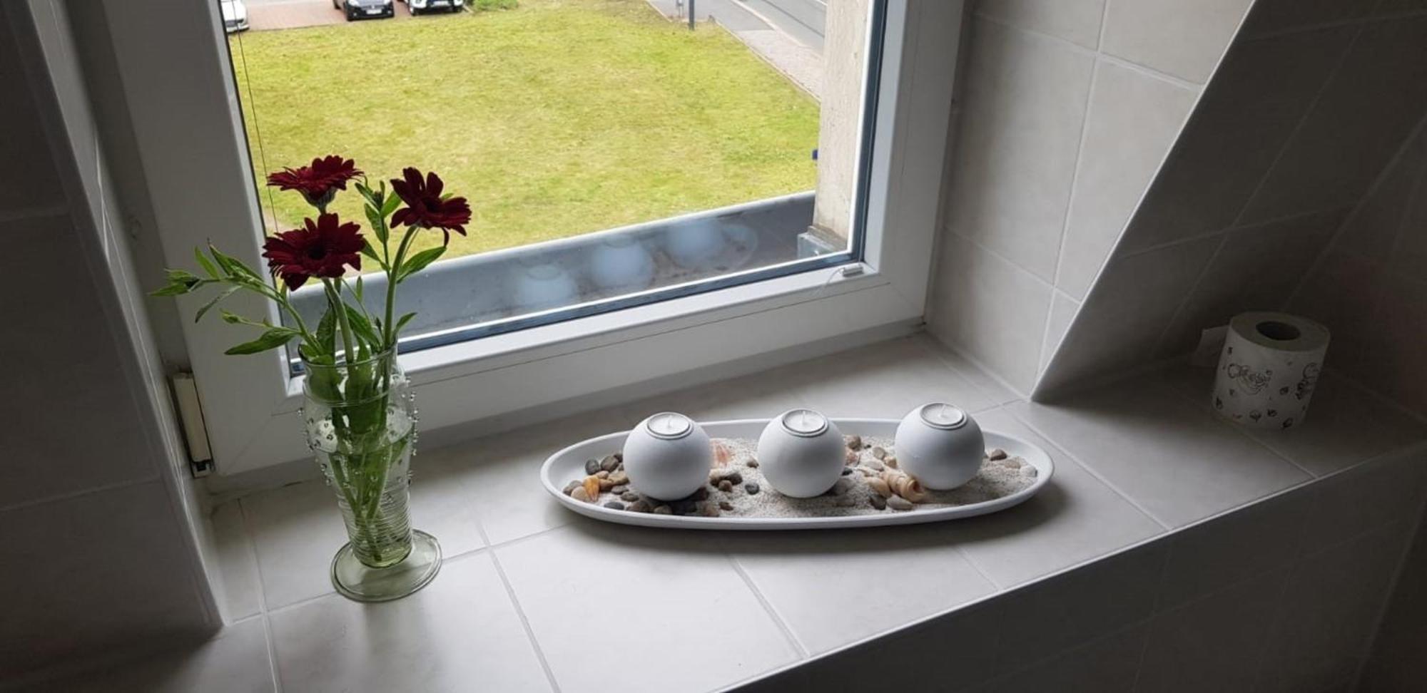 Appartement An Den Elbwiesen Dresden