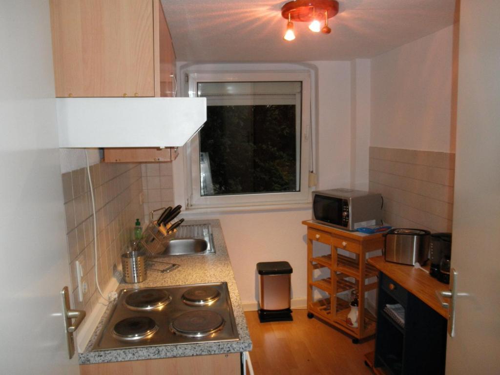 Apartment-ferienwohnung Dresden-briesnitz Apartment *