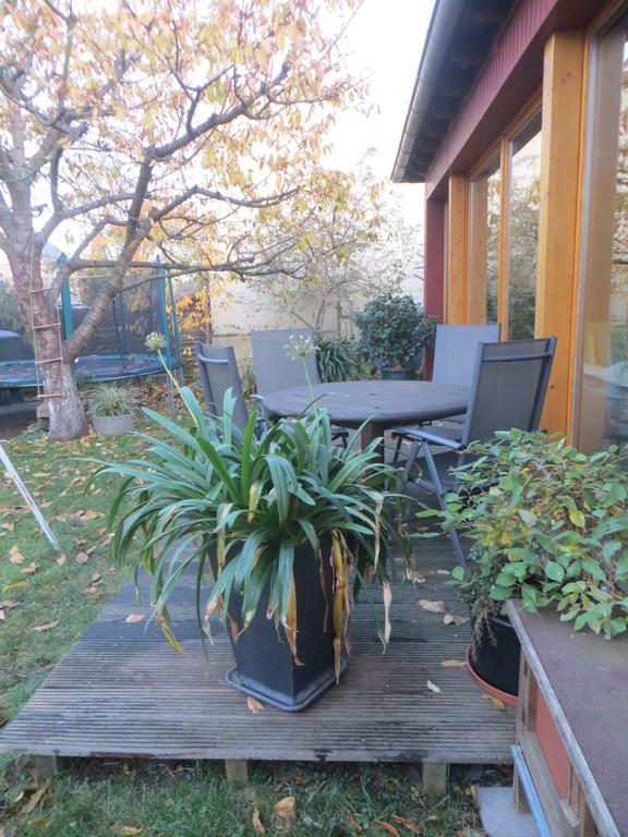 Apartment Gartenhaus Klotzsche Dresden