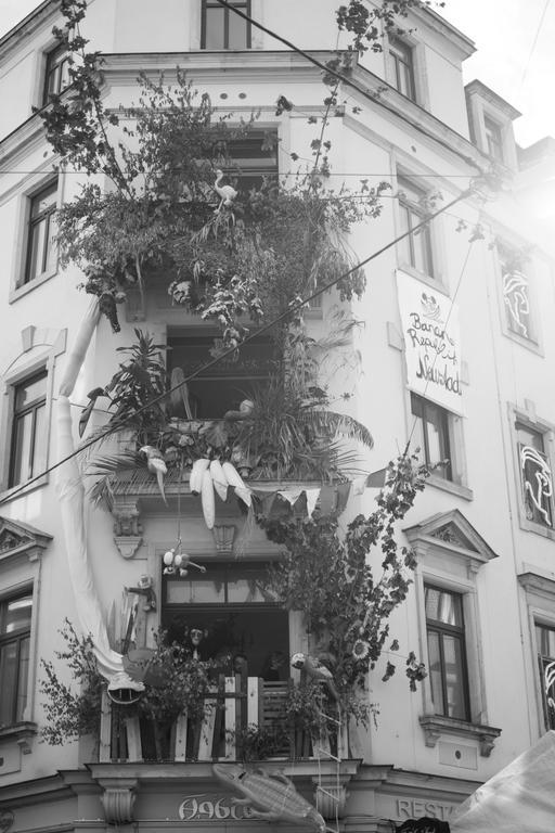 Mirabelle - Wohnen In Der Dresdner Neustadt * Dresden