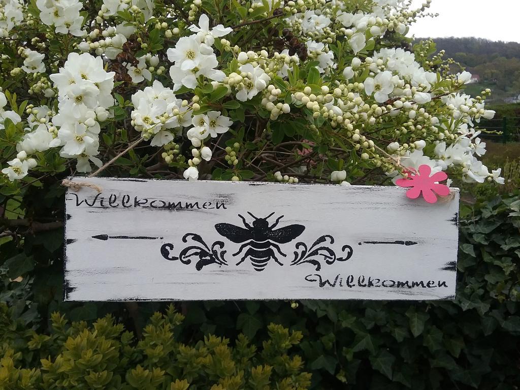 Alttolkewitzer Ferien-&privatzimmer Mrosk Gasthof