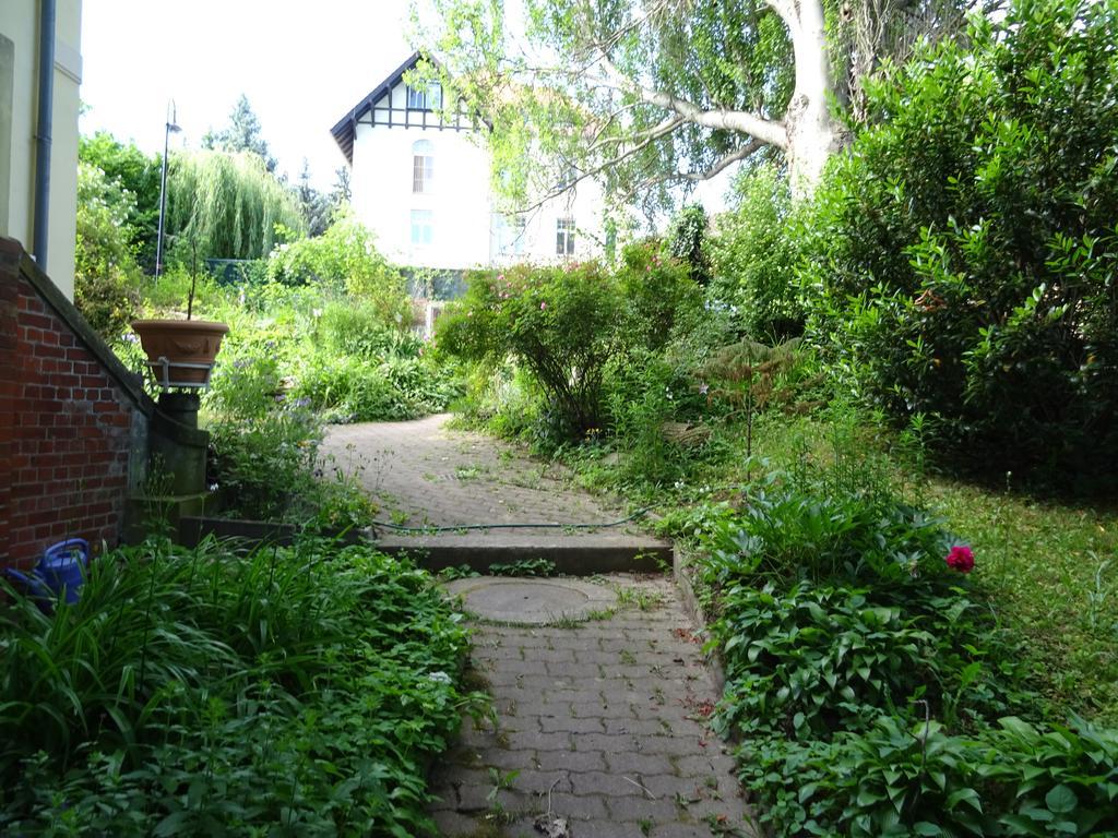 Appartement Bellevue