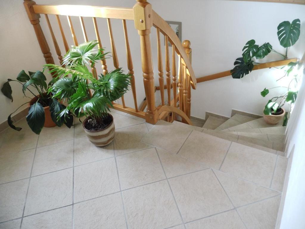 Ferienwohnung-mund Appartement *