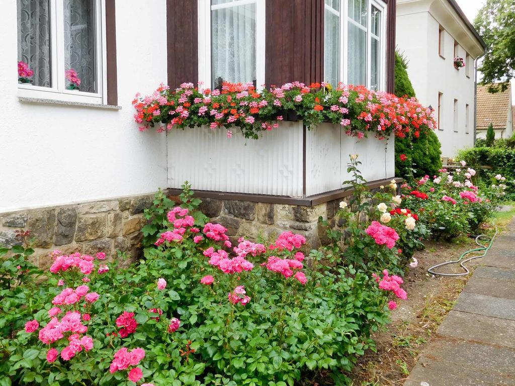 Apartment Ferienwohnung Baade
