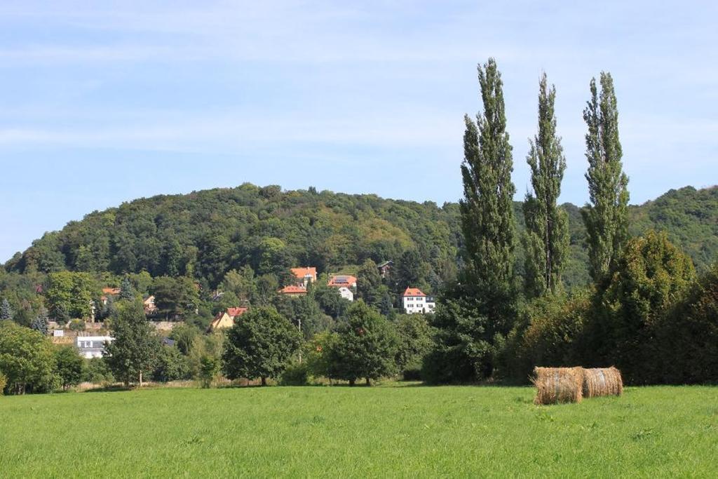 Traumhaftes Elb-chalet Dresden