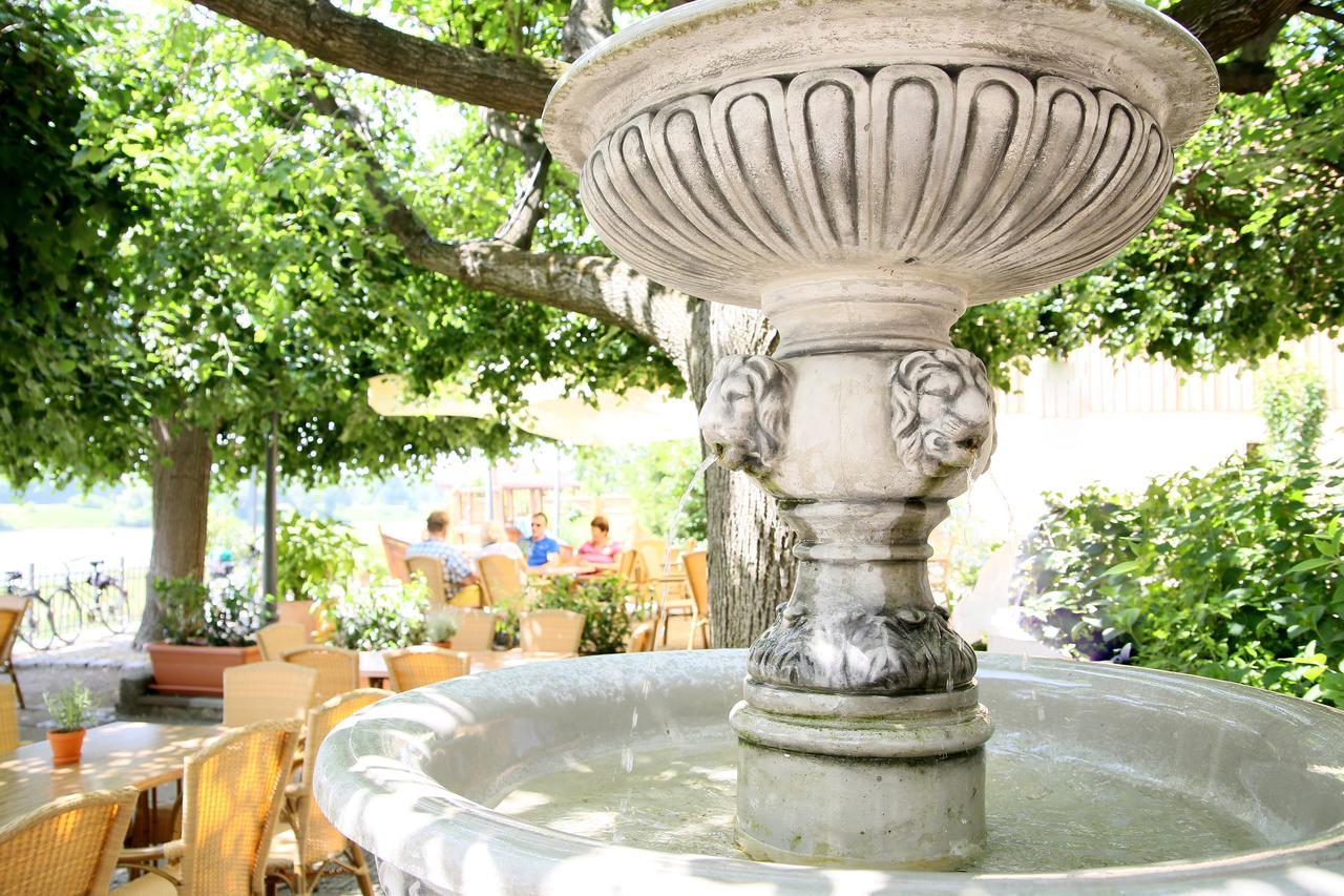 Elbterrasse Wachwitz Dresden