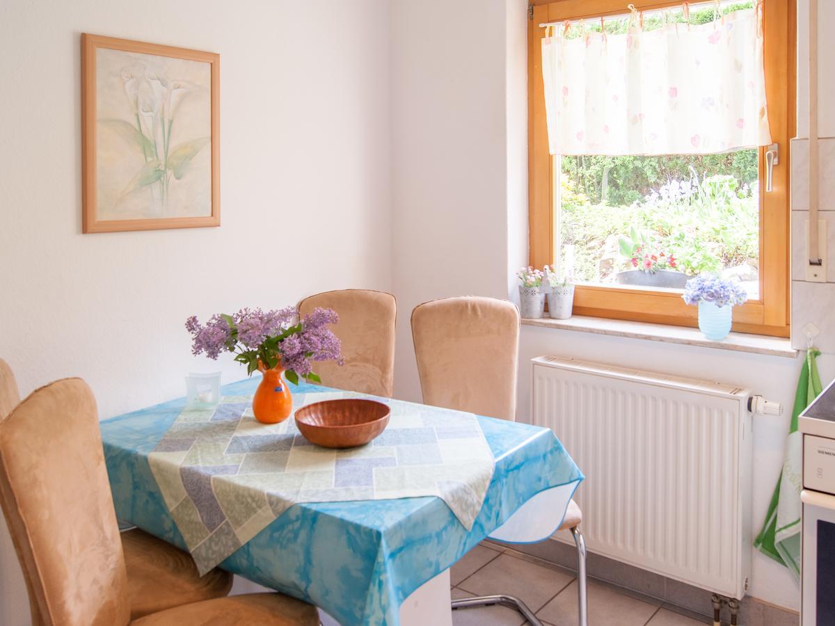 über Den Dächern Von Apartment Dresden