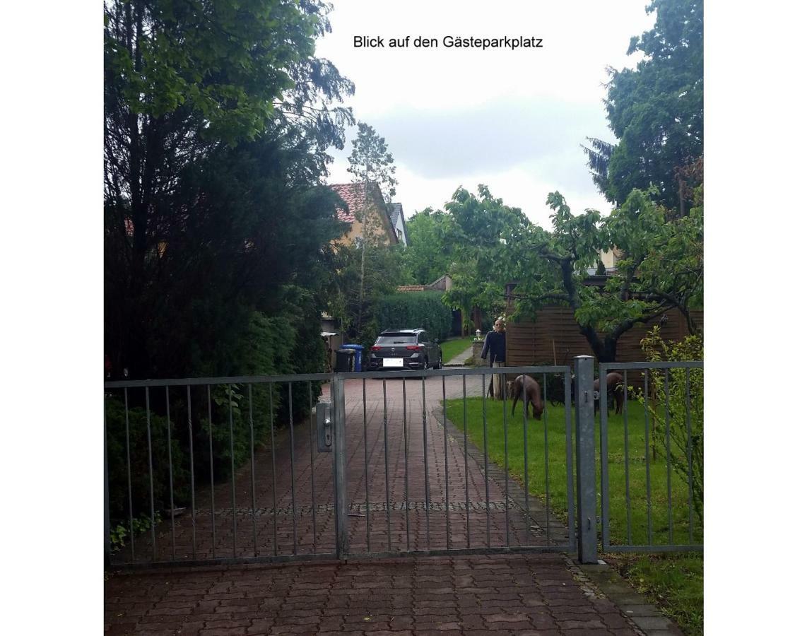 Ferienwohnung Gerlach Dresden