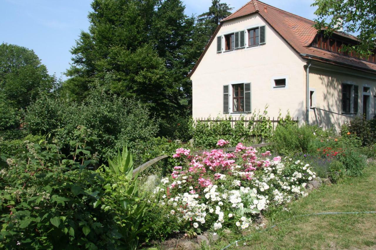 Poncet'sches Herrenhaus Apartment *