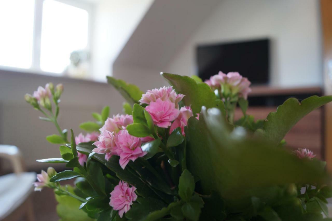 Ferienwohnung Paperer Buhlau *