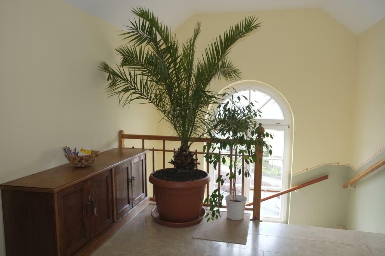 Apartment Gästewohnung Elström *
