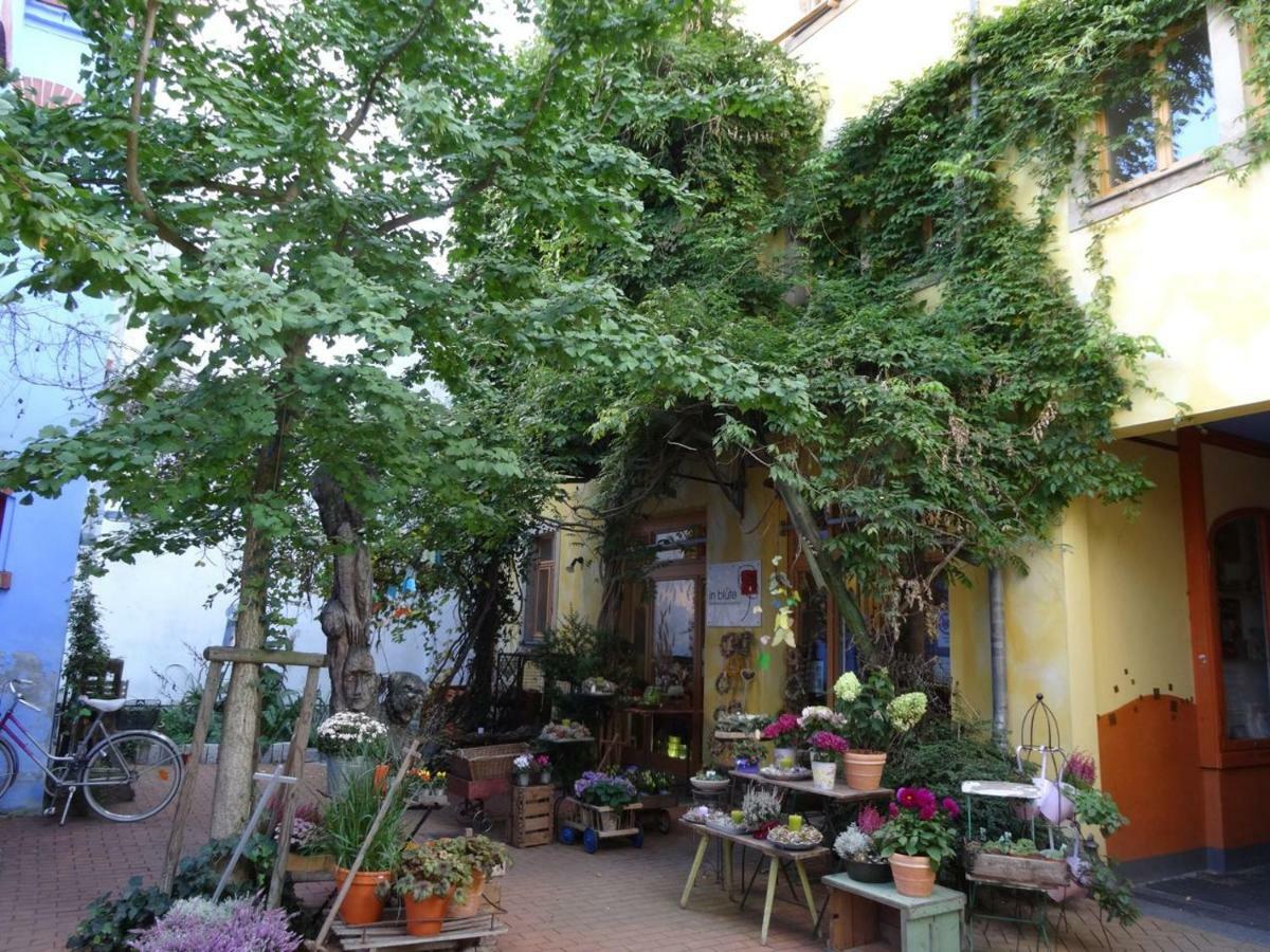 Appartement Kunsthofperle