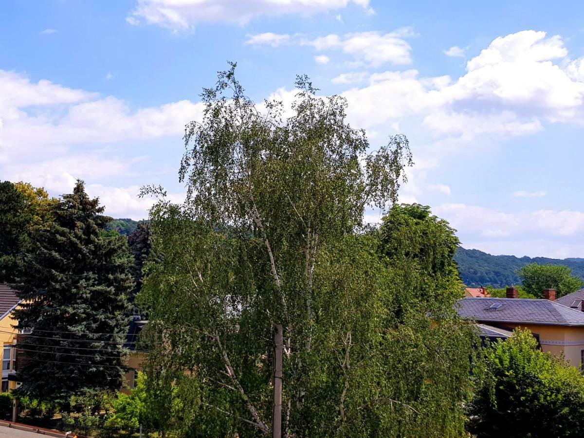 Ferienwohnung Elbhangblick - Für 2 Personen Dresden