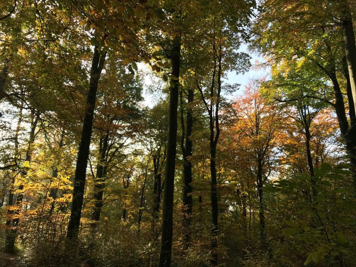 Ferienwohnung Natur Und Kunst Appartement