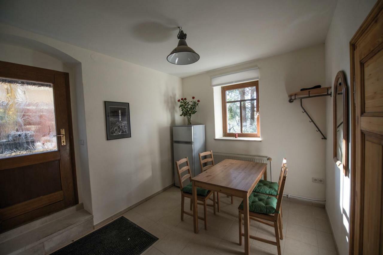 Apartment Am Wilden Mann Dresden