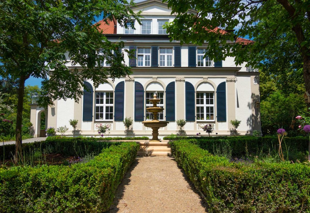 Golding - Flat 2 * Dresden