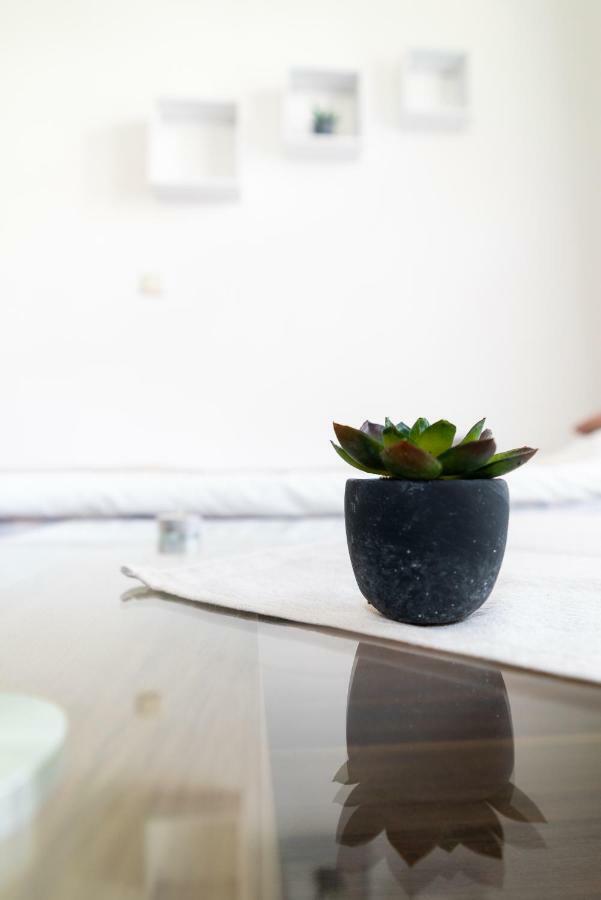 Accommodatie bij particulieren Luxury Buddha Oase Centrum *