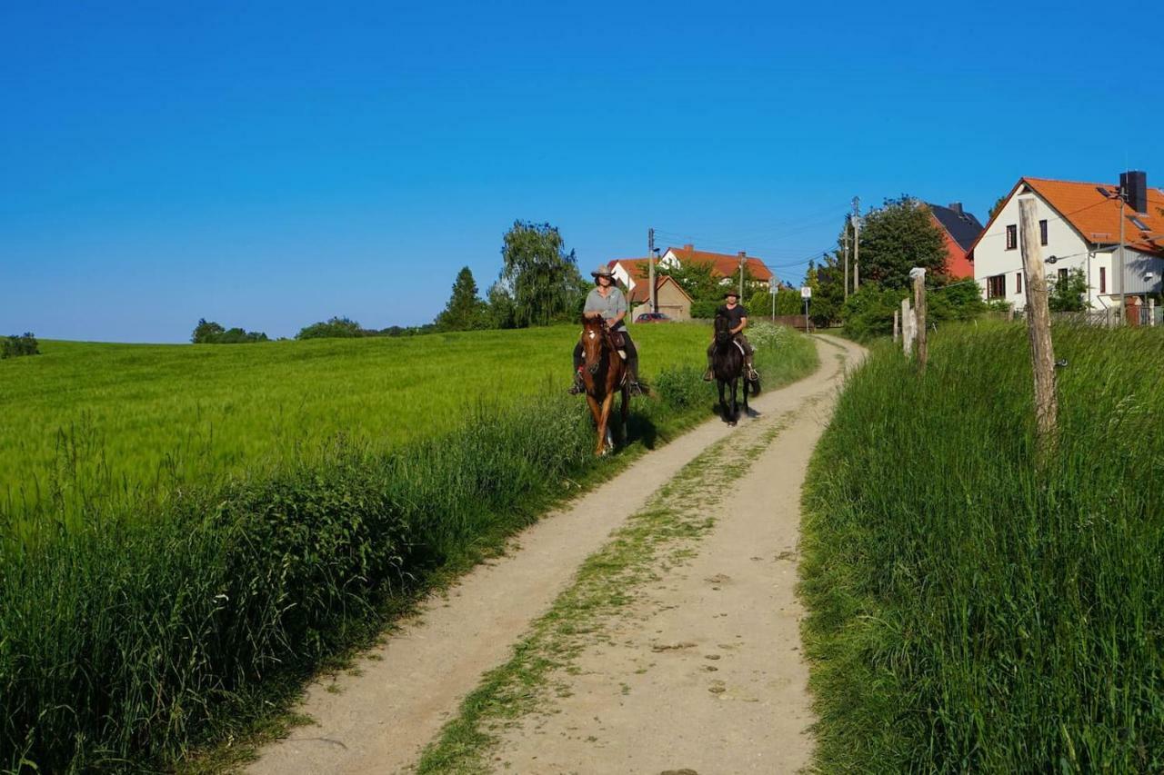 „zum Napoleonstein“ *
