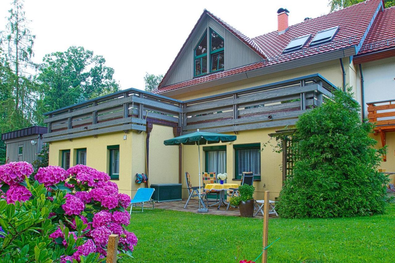 Apartment Oberloschwitz Dresden