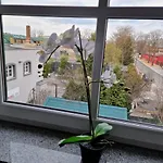 Spatzennest