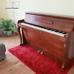 Ankommen Und Wohlfuehlen! 104 Qm In Altstadt-Naehe