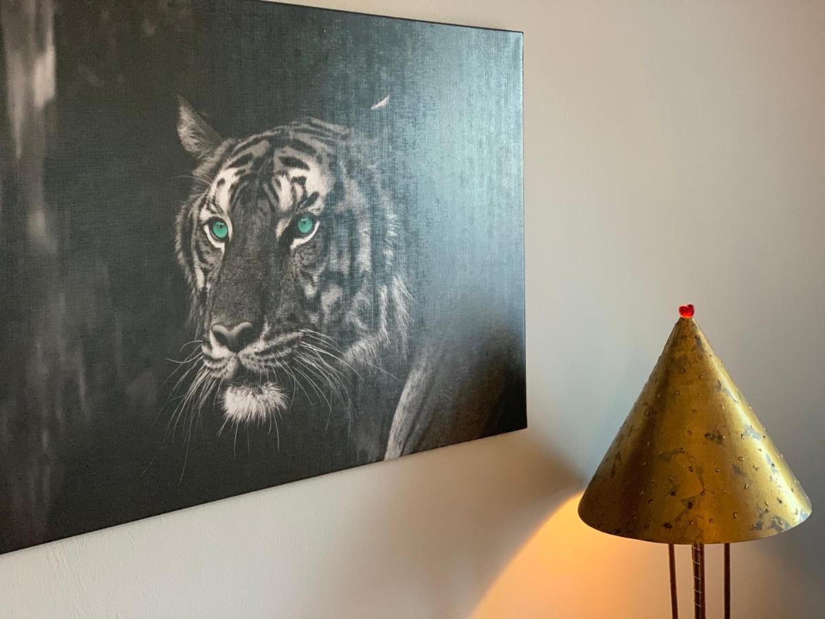 Hechtstrasse Appartement