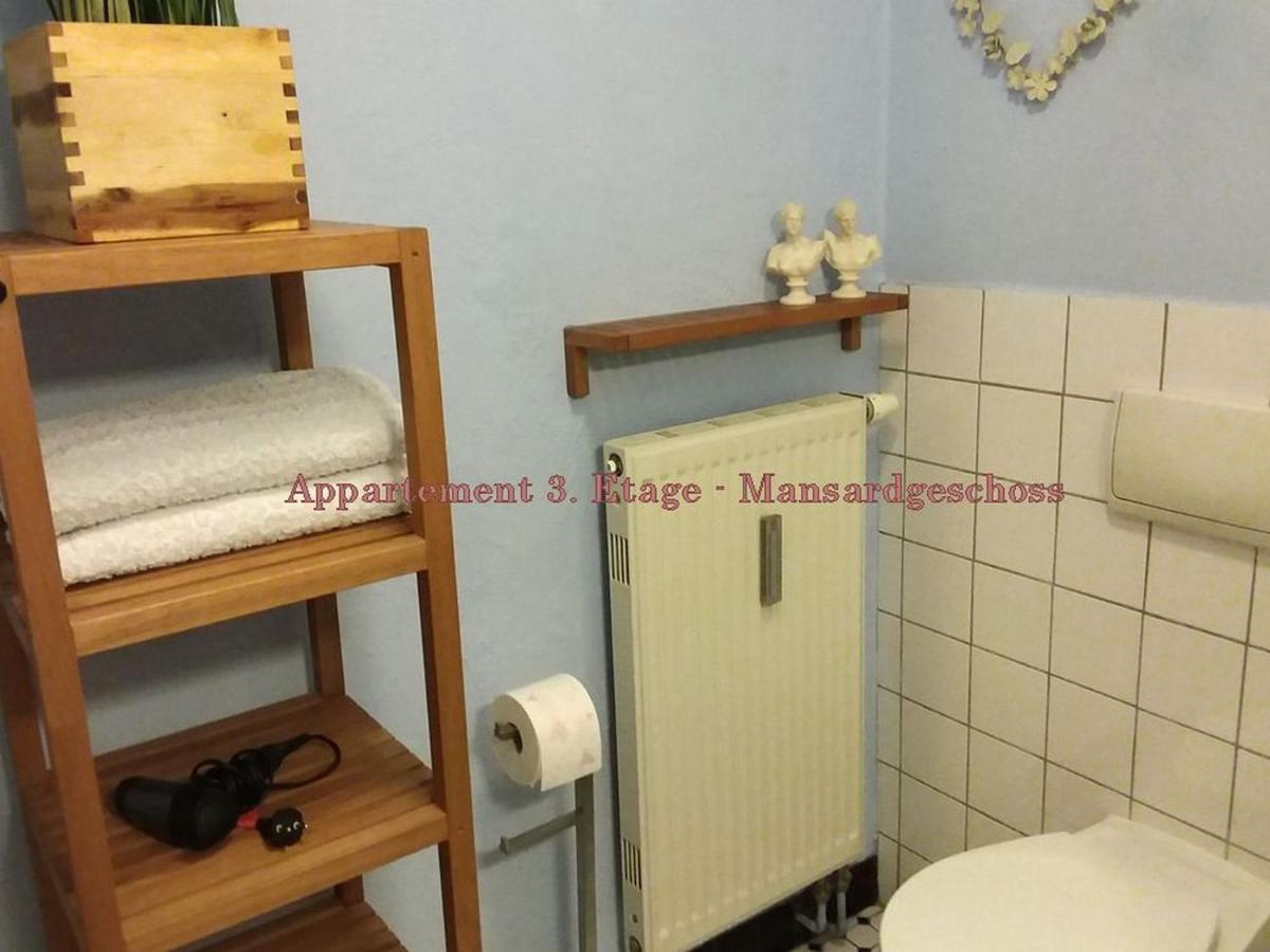 Apartment City-ferienwohnungen-dresden&cottage Im Garten - Zentral In Der Neustadt Louisenstrasse Dresden