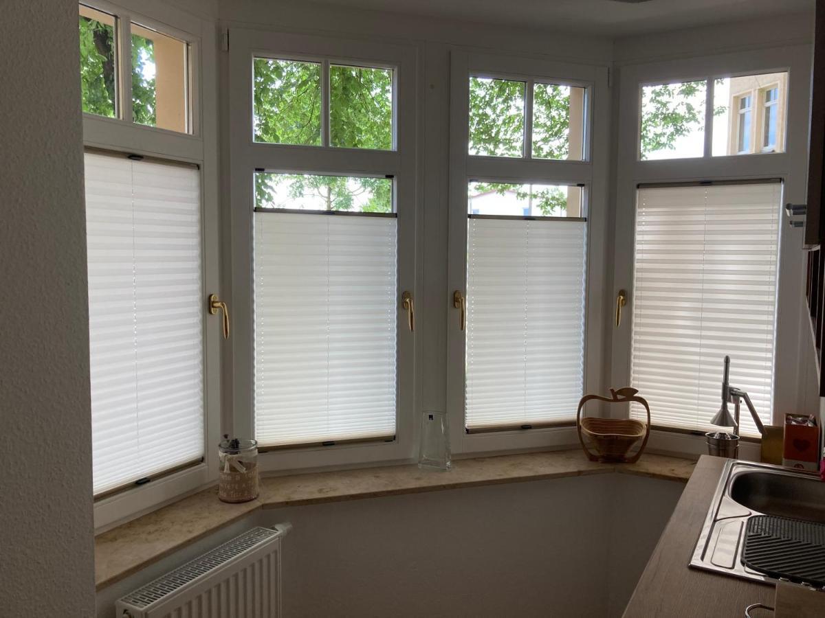 Premium Appartmartement Nichtraucher * Dresden
